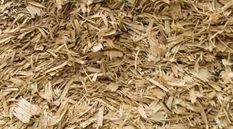 Equine and Animal Bedding Shavings